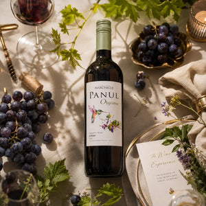 WINO CHILLE ORGANICZNE PANUL ORGANIC SYRAH CHILE 13% 0,75L